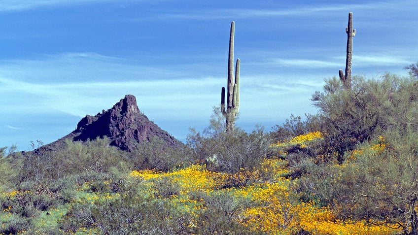 Picacho Peak