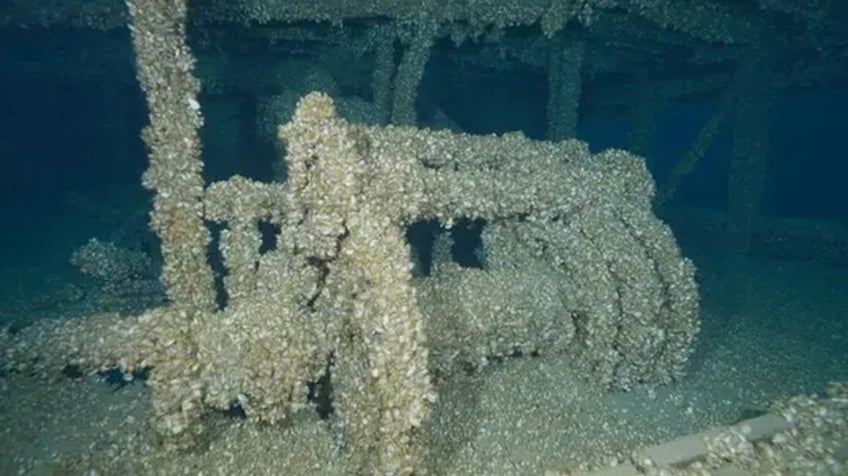 missing shipwreck found after 128 years thanks to invasive species of mussels