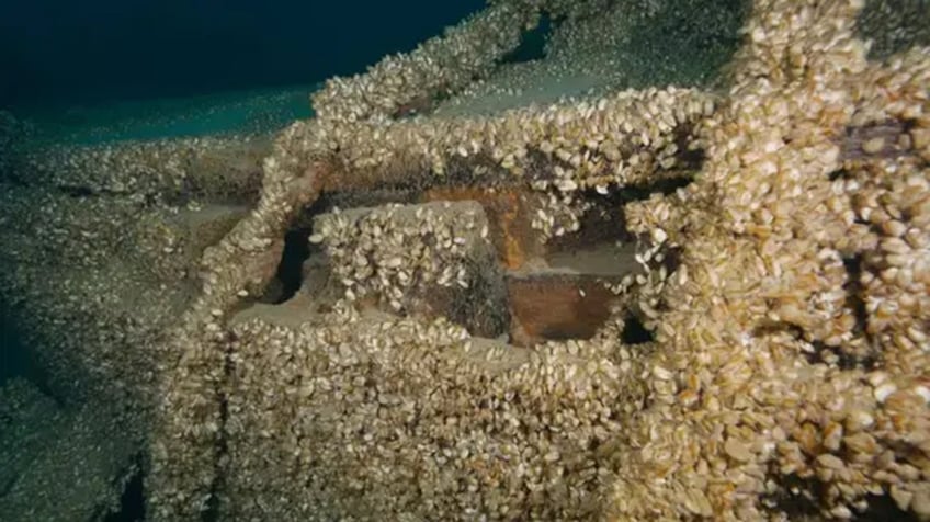 missing shipwreck found after 128 years thanks to invasive species of mussels