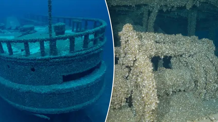 missing shipwreck found after 128 years thanks to invasive species of mussels