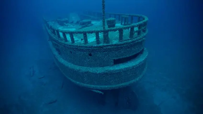 missing shipwreck found after 128 years thanks to invasive species of mussels