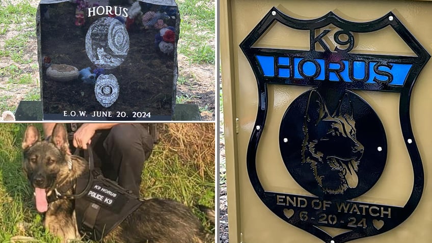 Tribute to K-9 Officer Horus