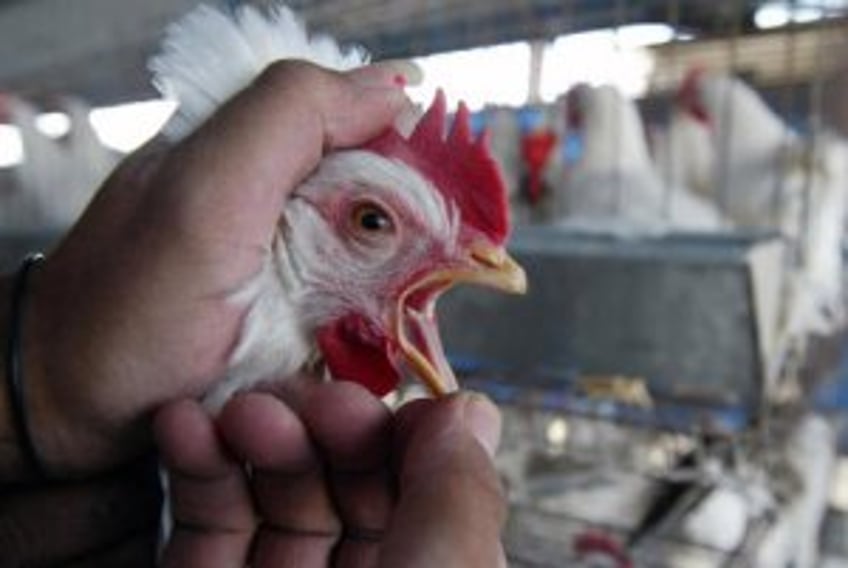 Missouri records first human case of avian flu this year