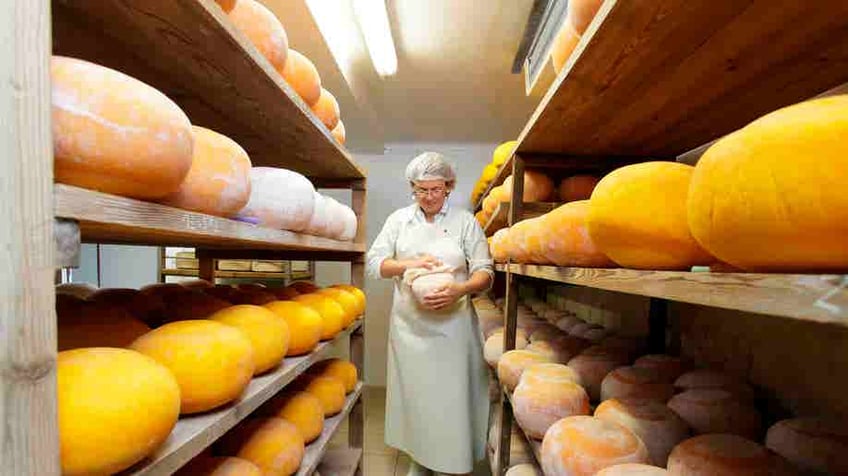 Maturing mimolette cheese