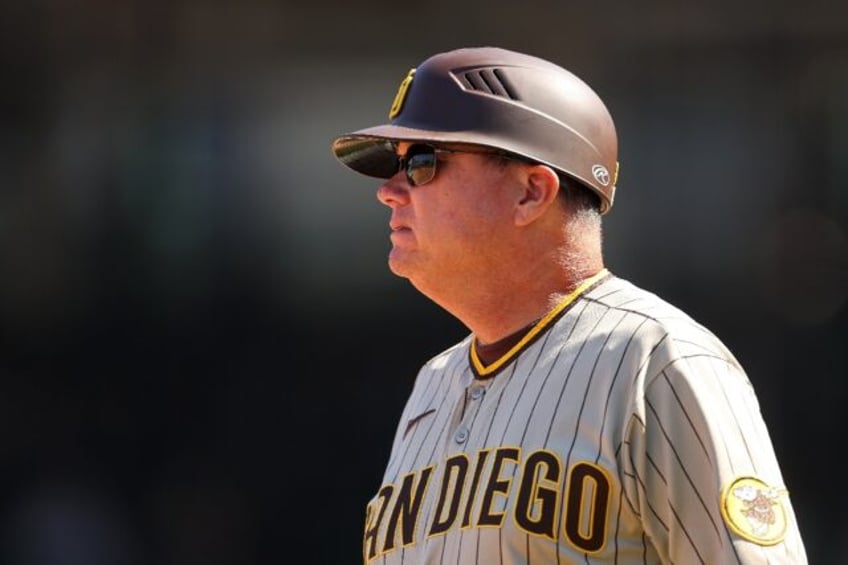 mlb padres name shildt as new manager