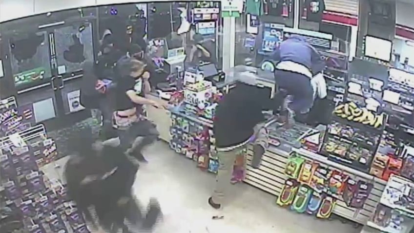 mob of looters terrorized california 7 eleven store on video authorities