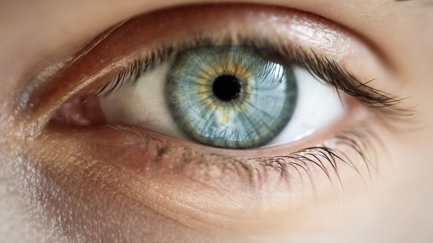 Close-up of a blue eye with no makeup.