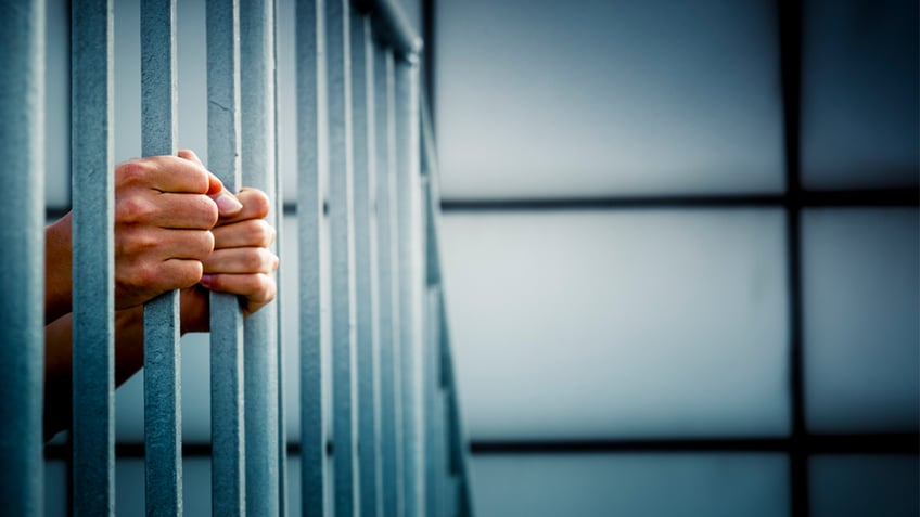 pair of hands grasping prison bars stock image