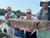 Monster 220-pound fish caught in New York's Hudson River