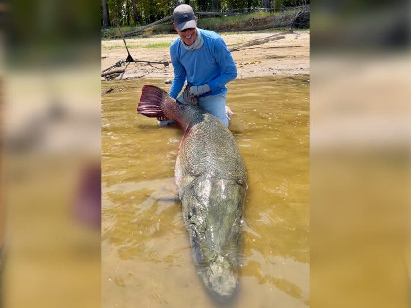 monster 283 pound alligator gar caught in texas could break 2 world records