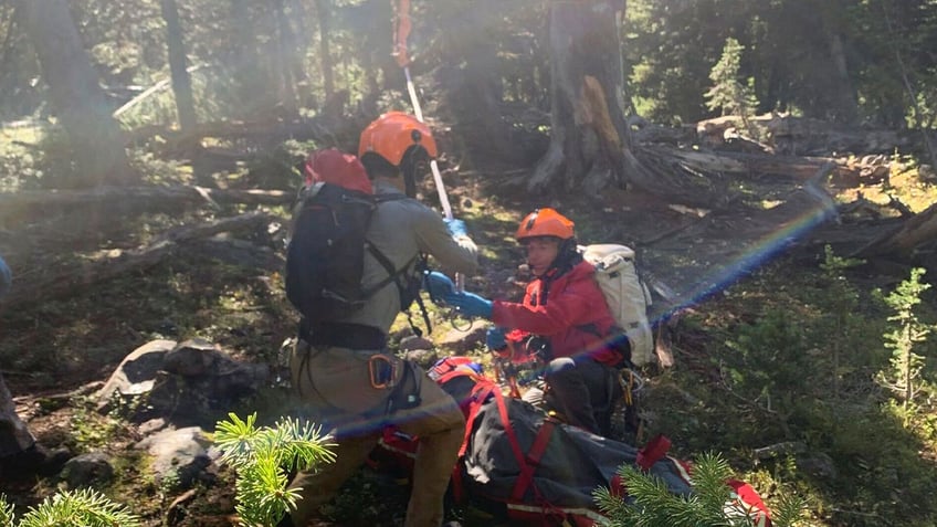 montana man whose jaw was bit off by a grizzly bear is recovering according to family