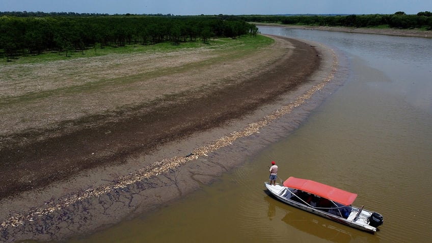 more than 100 dolphins thousands of fish found dead as brazilian governor declares state of emergency