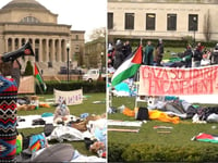 More wild anti-Israel protesters descend on Columbia University lawn vowing to 'hold this line'