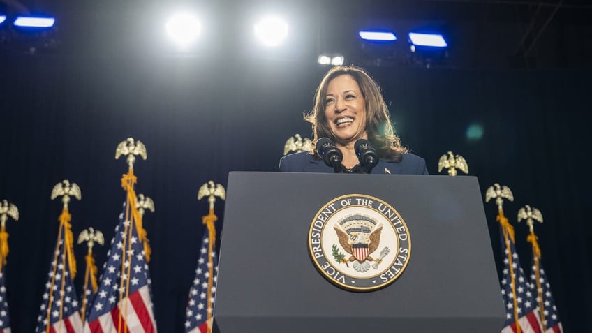 WEST ALLIS, WI - JULY 23: Vice President Kamala Harris speaks at a campaign event on July 23rd, 2024 at West Allis Central High School. (Photo by Sara Stathas for the Washington Post)