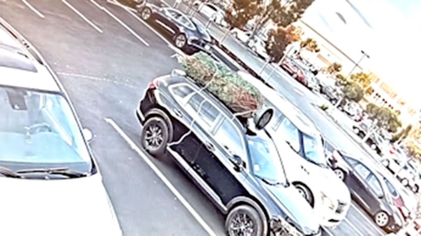 mr grinchmas caught on camera stealing christmas tree off california familys suv