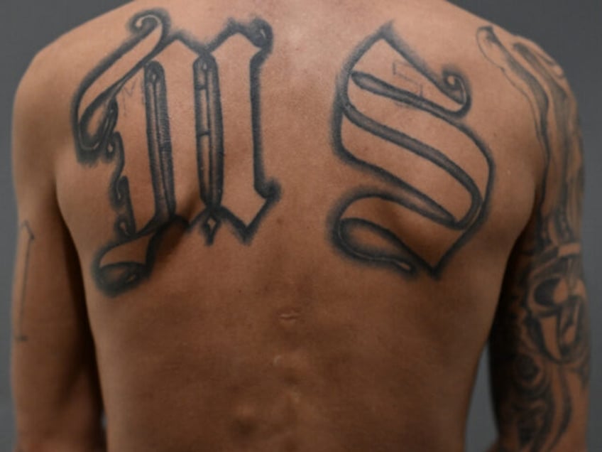 A Mara Salvatrucha (MS-13) gang member sentenced to more than 200 years in prison shows of