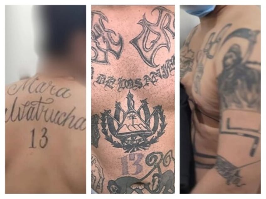 MS-13 Gang Members Stab Virginia Prison Guards (FILE: U.S. Border Patrol)