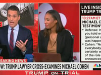 MSNBC legal analyst calls Cohen 'opportunistic thief' after admission of stealing thousands from Trump Org