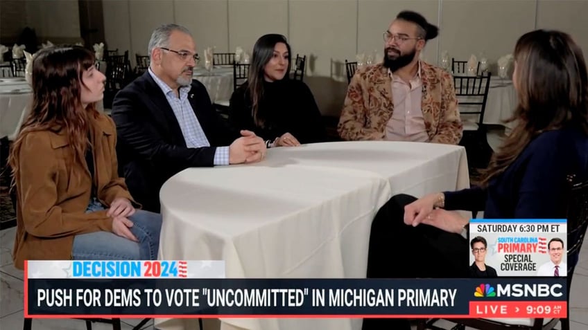 MSNBC panel of Michigan Democrats