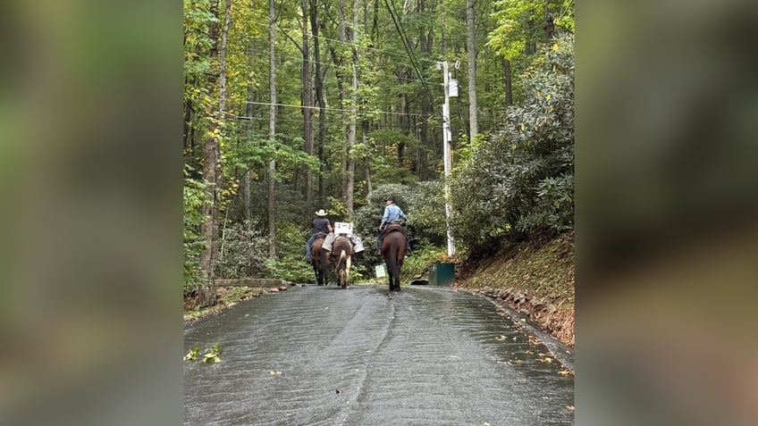 Mules help deliver supplies