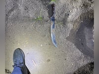 Multiple arrests after violent mob attacks Portland ICE facility with fireworks and knives