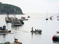 Multiple sharks spotted at popular beach that saw deadly attack 5 years ago