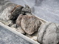 Museum discovers rare 67-million-year-old dinosaur bone under its own parking lot