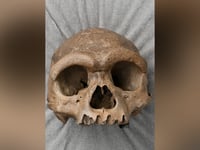 Mysterious 'dragon man' skull found in the 1930s finally identified