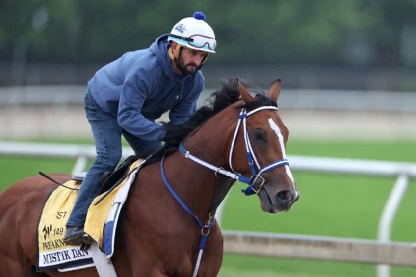 Exercise rider Robby Albarado takes Kentucky Derby winner Mystik Dan over the track prior