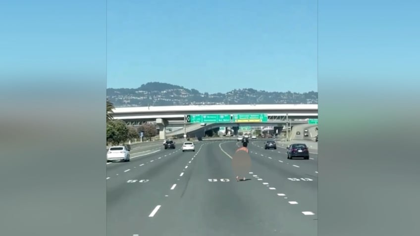 naked california woman arrested near san francisco bay bridge after shooting at cars officials