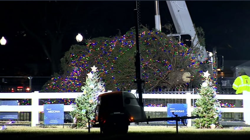 national christmas tree topples to the ground at white house perfectly summing up joe bidens presidency