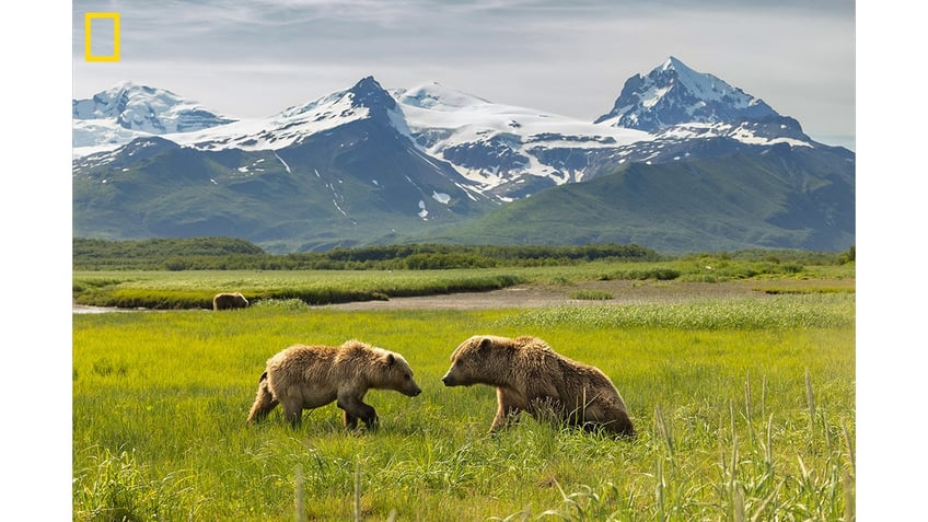 Bear watching in Katmai National Park, Alaska