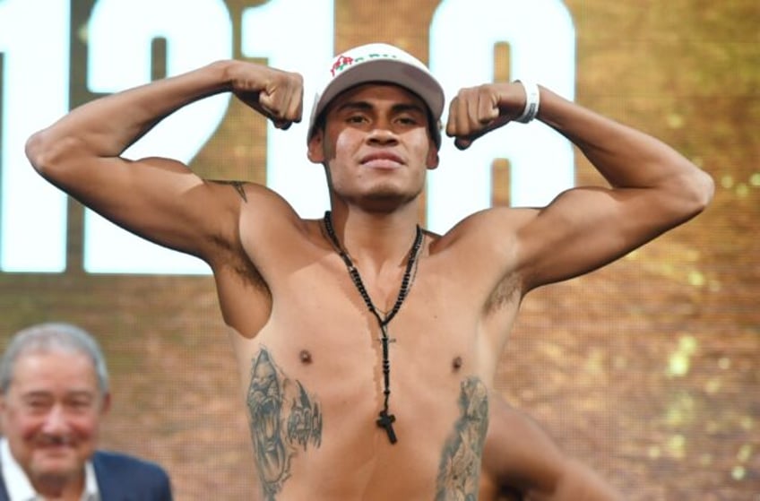WBO super-featherweight champion Emanuel Navarrete kept his crown with a technical decisi