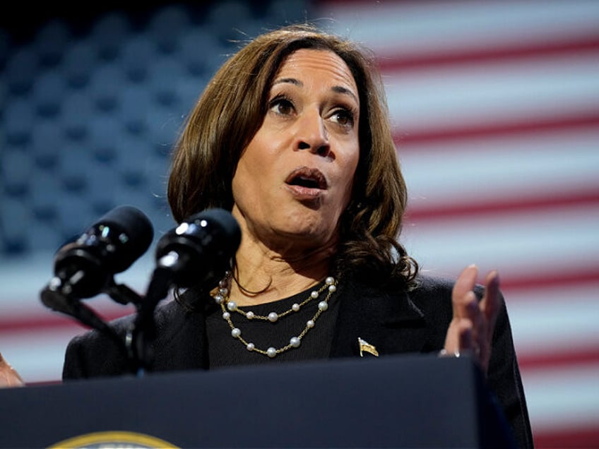 Democratic presidential nominee Vice President Kamala Harris speaks during a campaign rall