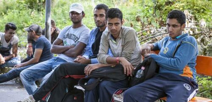 nearly 1 in 20 of all syrians now lives in germany over half receive welfare