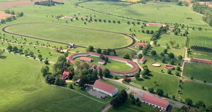 need liquidity under armour ceo kevin plank lists 22m race horse farm as ua near lows