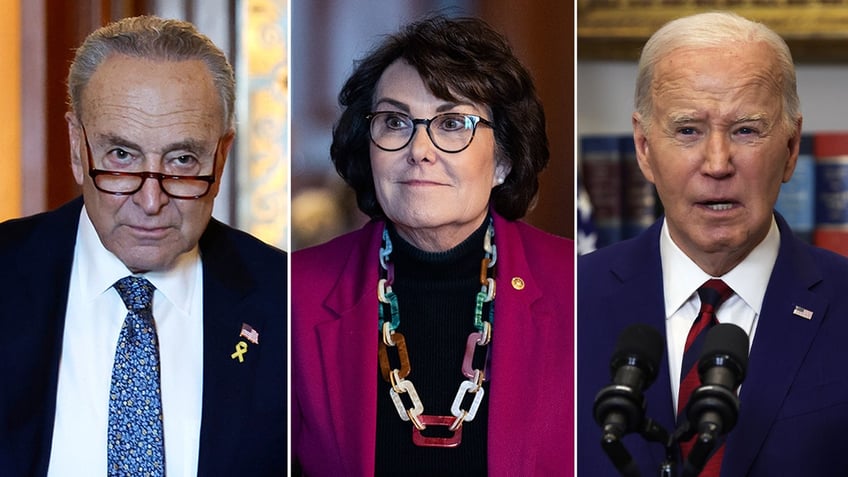 Chuck Schumer, Jacky Rosen, Joe Biden