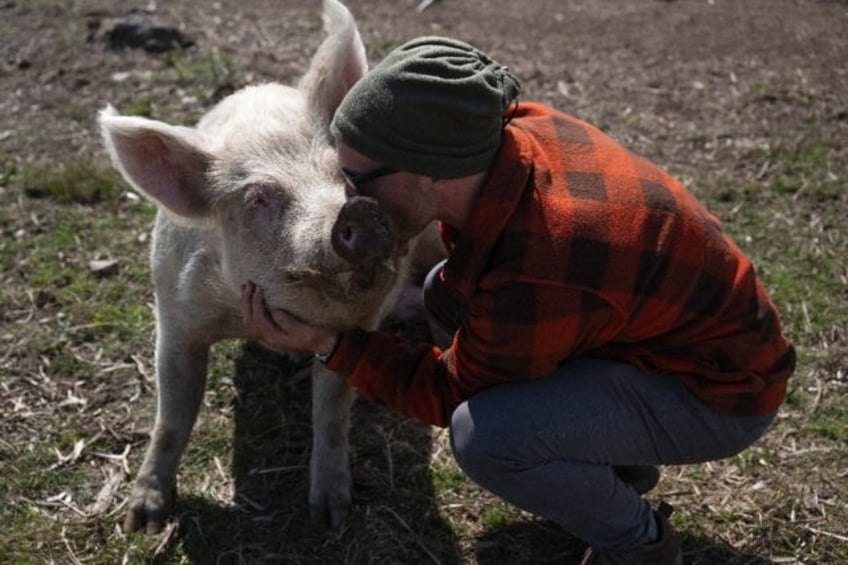 One man and his rescue pig in Uruguay