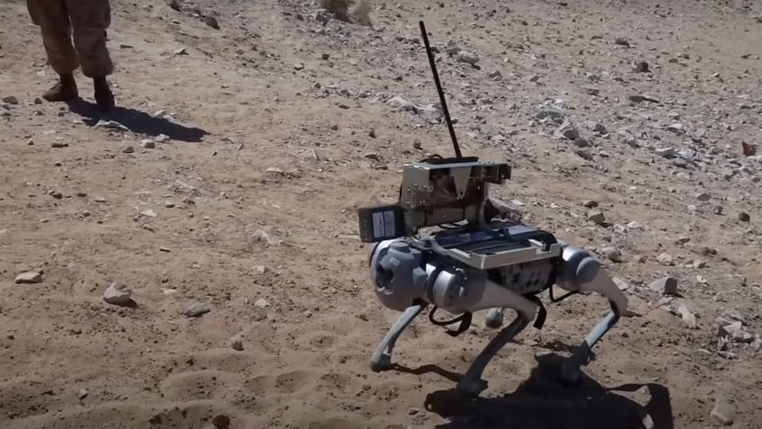 new breed of military ai robo dogs could be the marines secret weapon