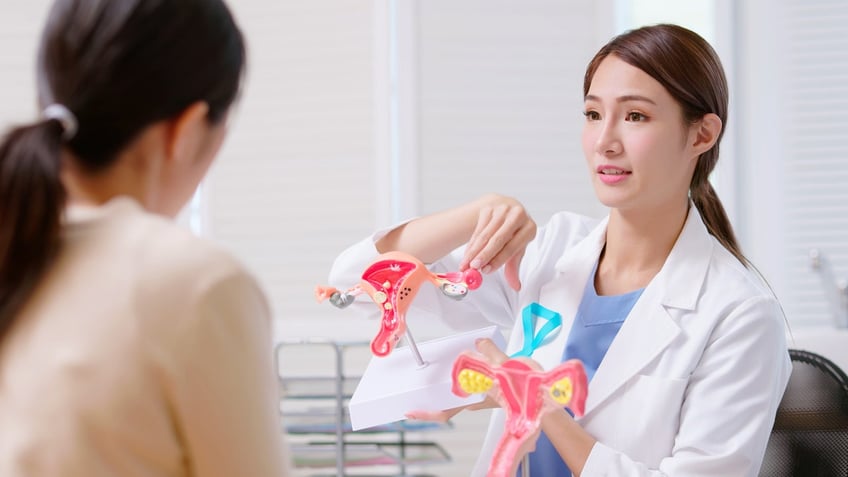 doctor wearing white coat shows female anatomy models 