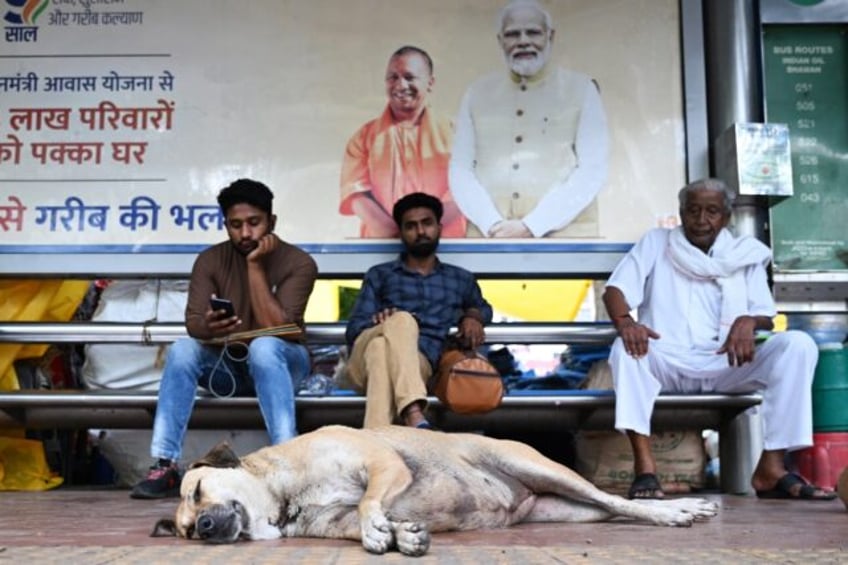 new delhi to hide street dogs ahead of g20 summit