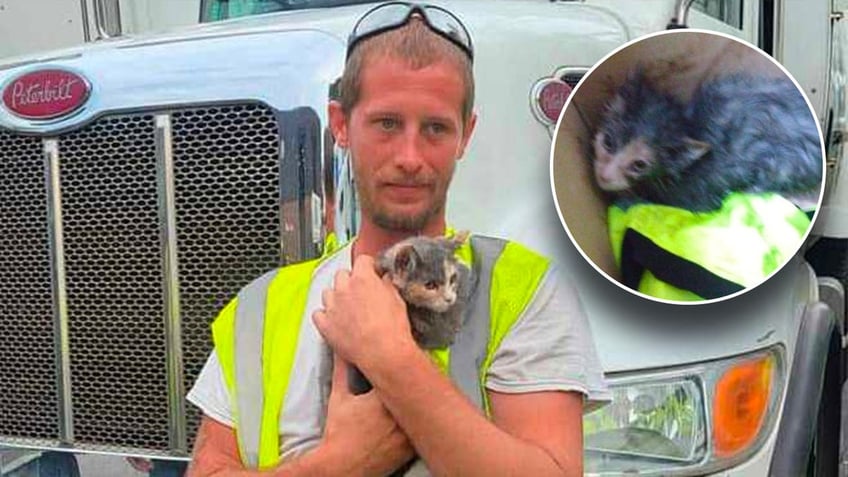 Man holding tiny kitten with inset of very scared looking kitten.