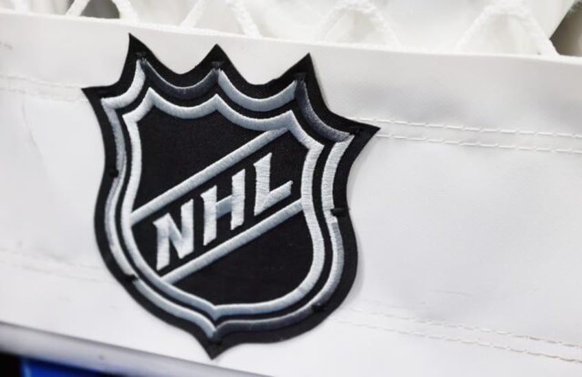 new owner says nhl senators worth effort and price