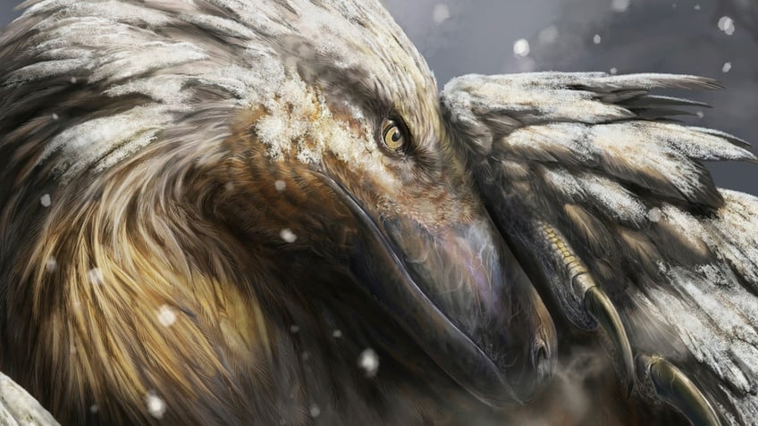 This illustration provided by the University of Vigo and University College London, depicts a dromaeosaur incubating its eggs as snow falls.