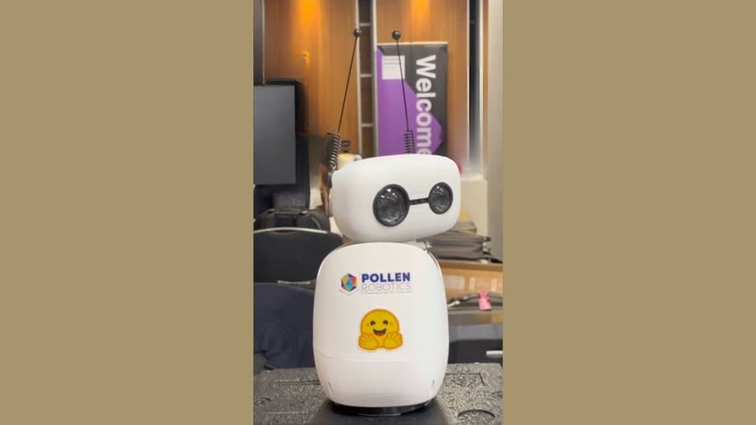 New robots make AI something anyone can try at home