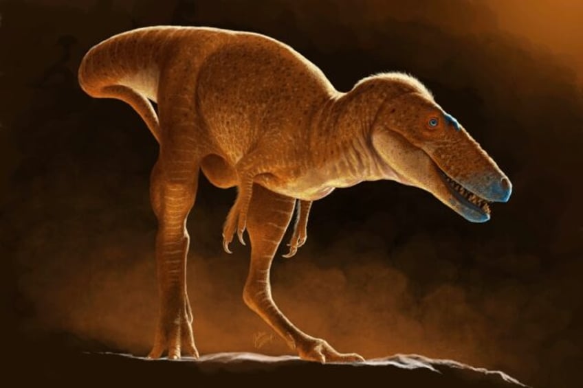 new t rex ancestor discovered in drawers of mongolian institute