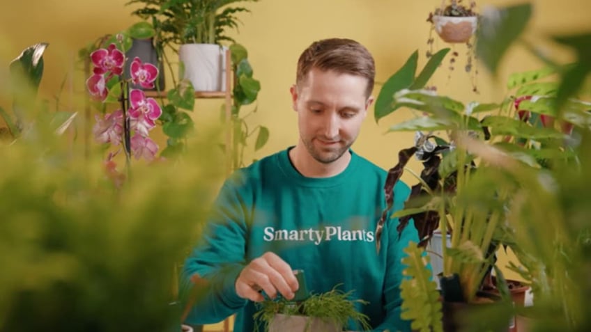 SmartyPlants4