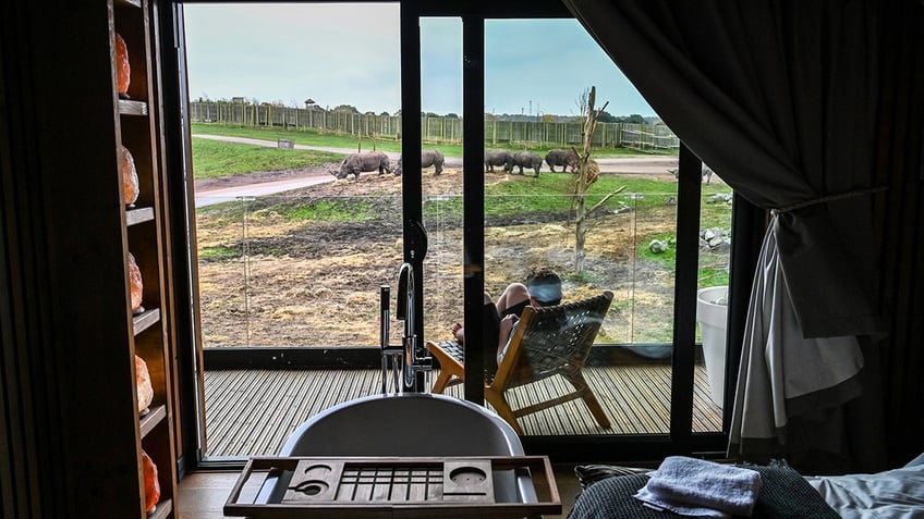 view from indoor safari