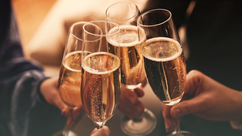 people cheers sparkling wine