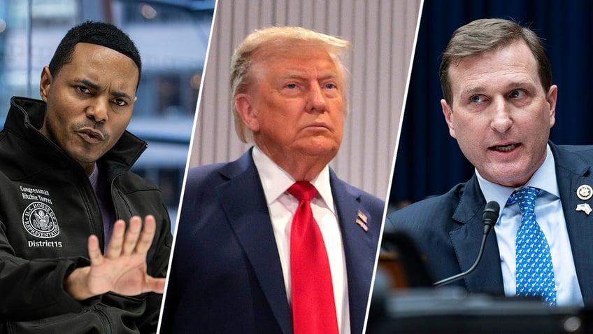 Ritchie Torres, Donald Trump, Dan Goldman